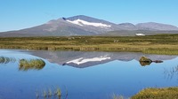 Helagsglaciären 2021
